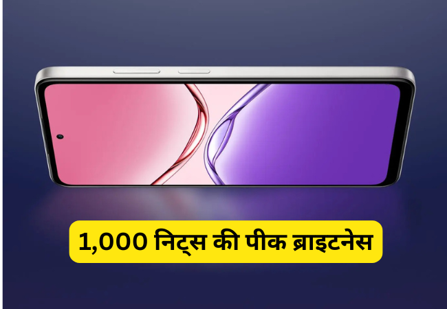 1,000 निट्स की पीक ब्राइटनेस